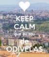 /album/galeria-de-fotos-pagina-inicial1/odivelas-jpg/